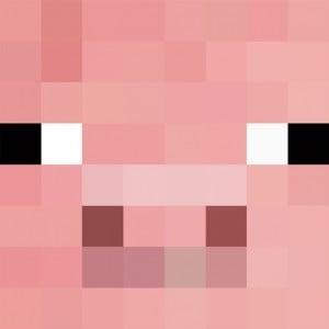 Reflection Widget Download Point capture plugin — Minecraft Mods — MetaMods