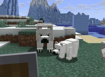 Polar Bear Overhaul