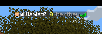 PronounMC