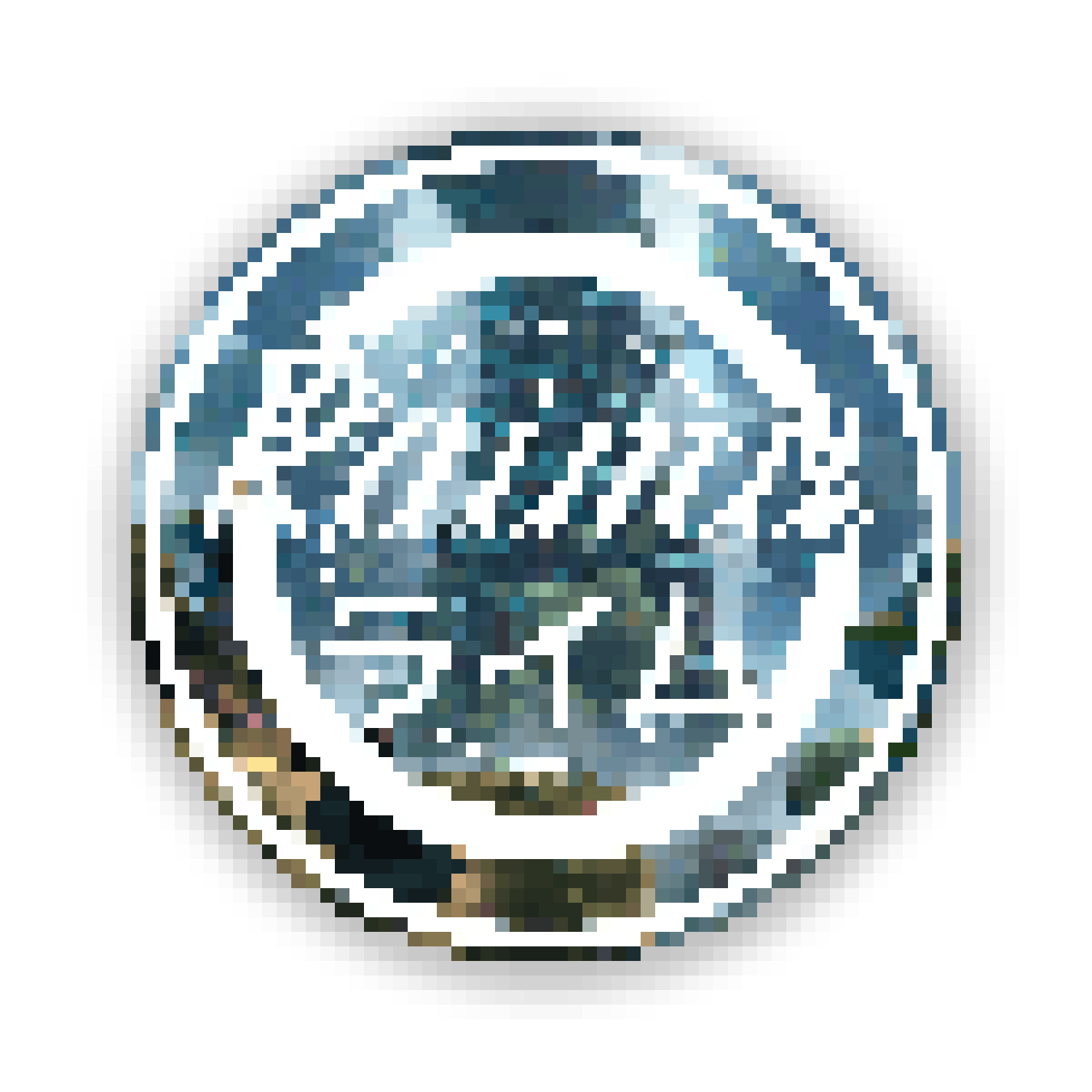 Raimu's Discs and Arts