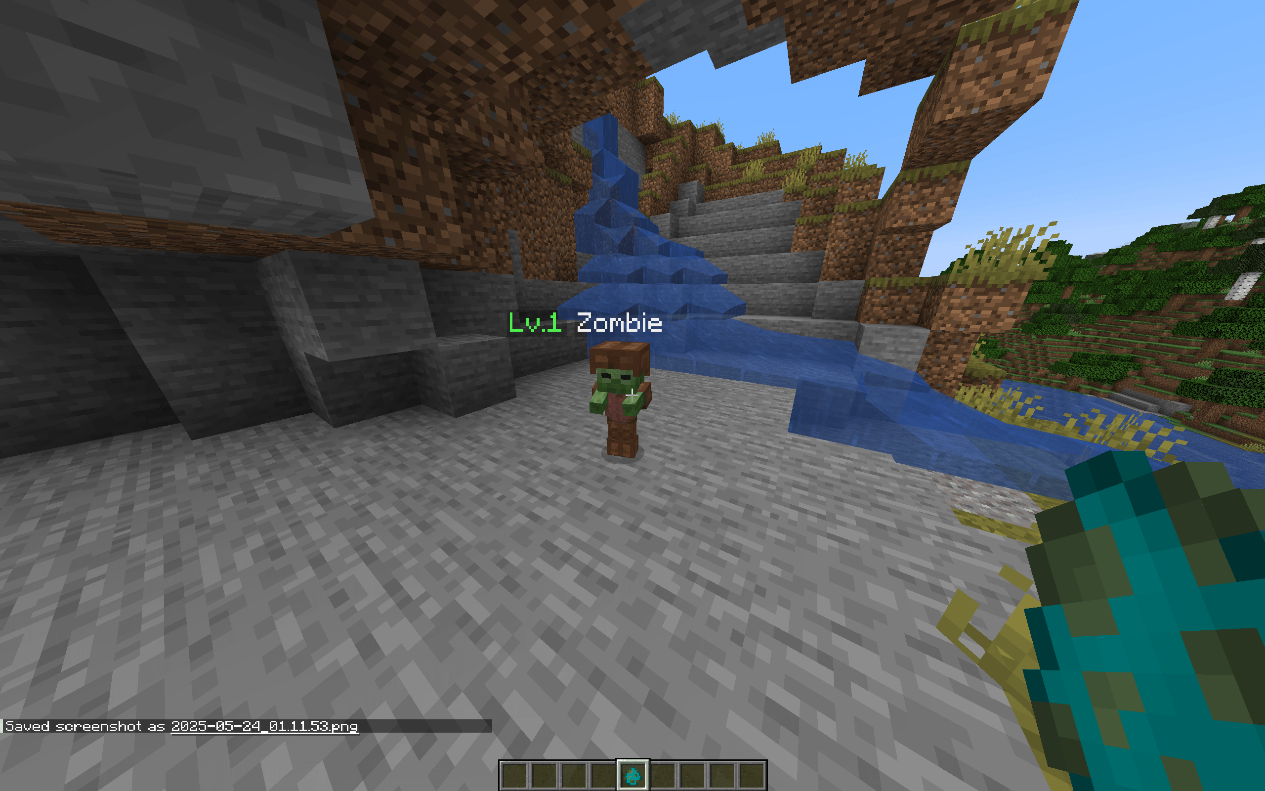 Random Mob Levels