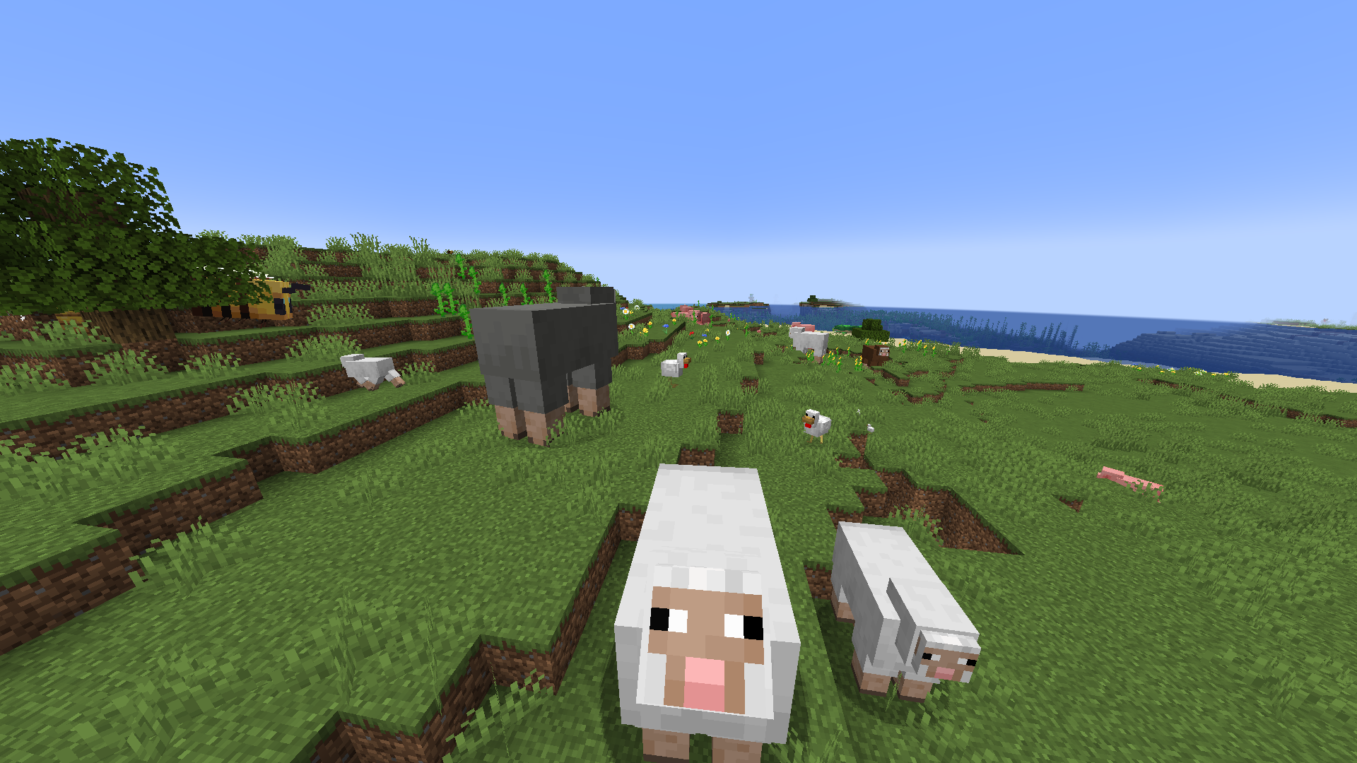 Random Mob Sizes