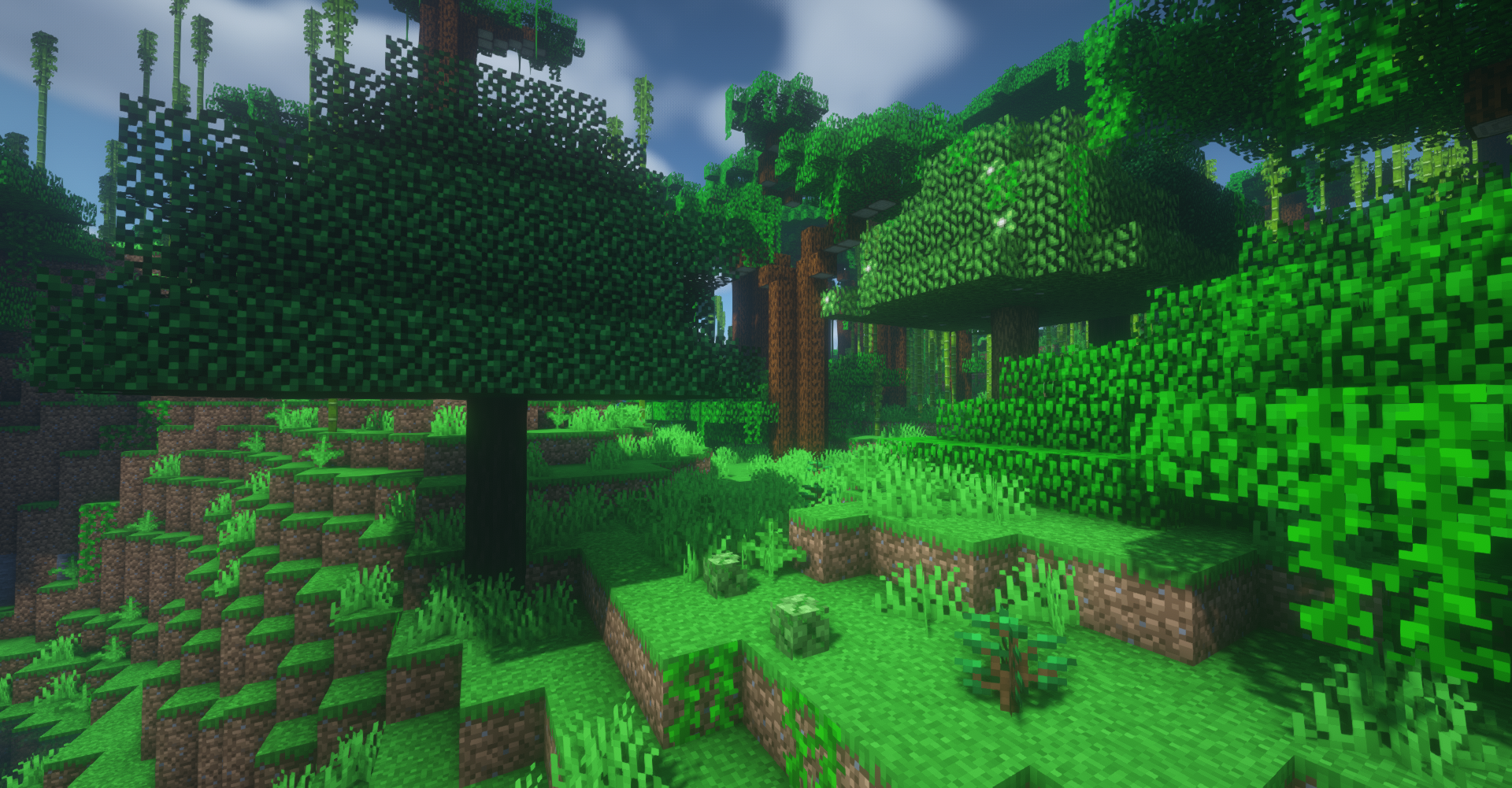 🍀RandomWorldGen