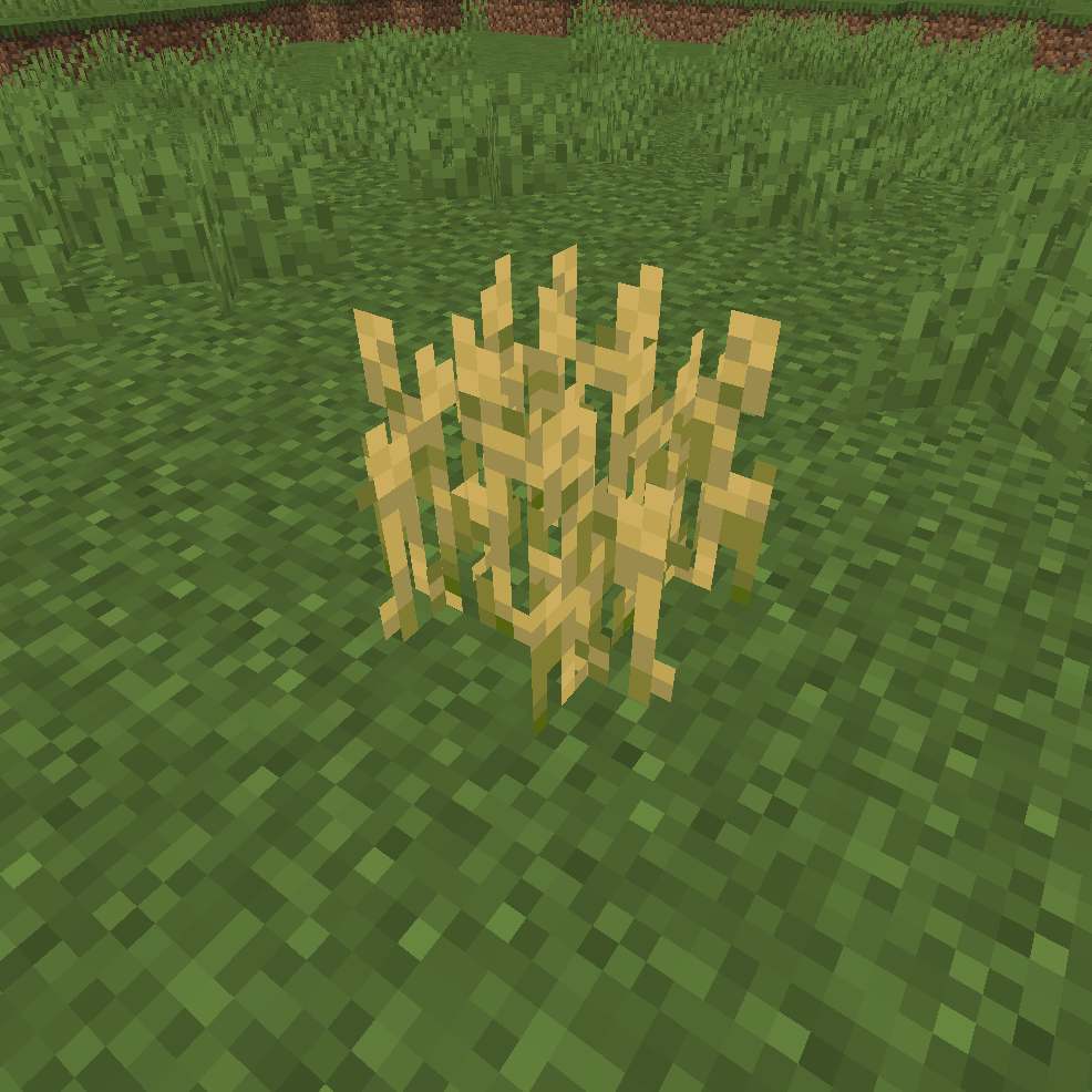 Realistic Wheat