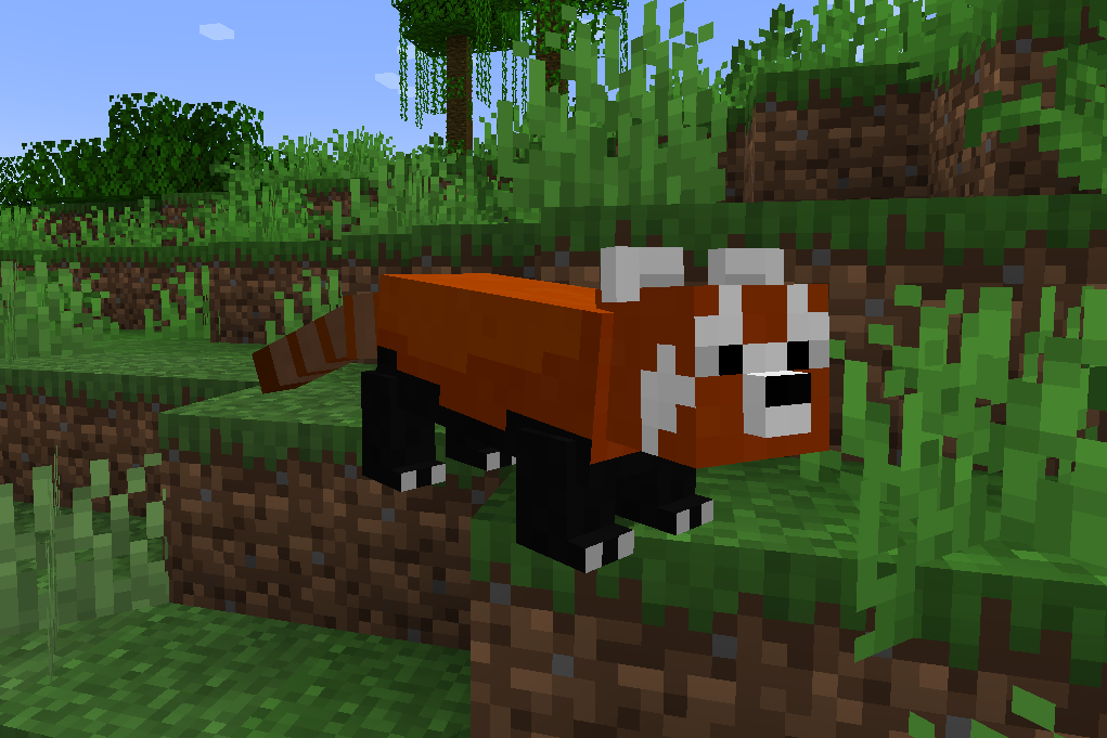 Red Pandas