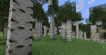 Regions Unexplored: Expansion