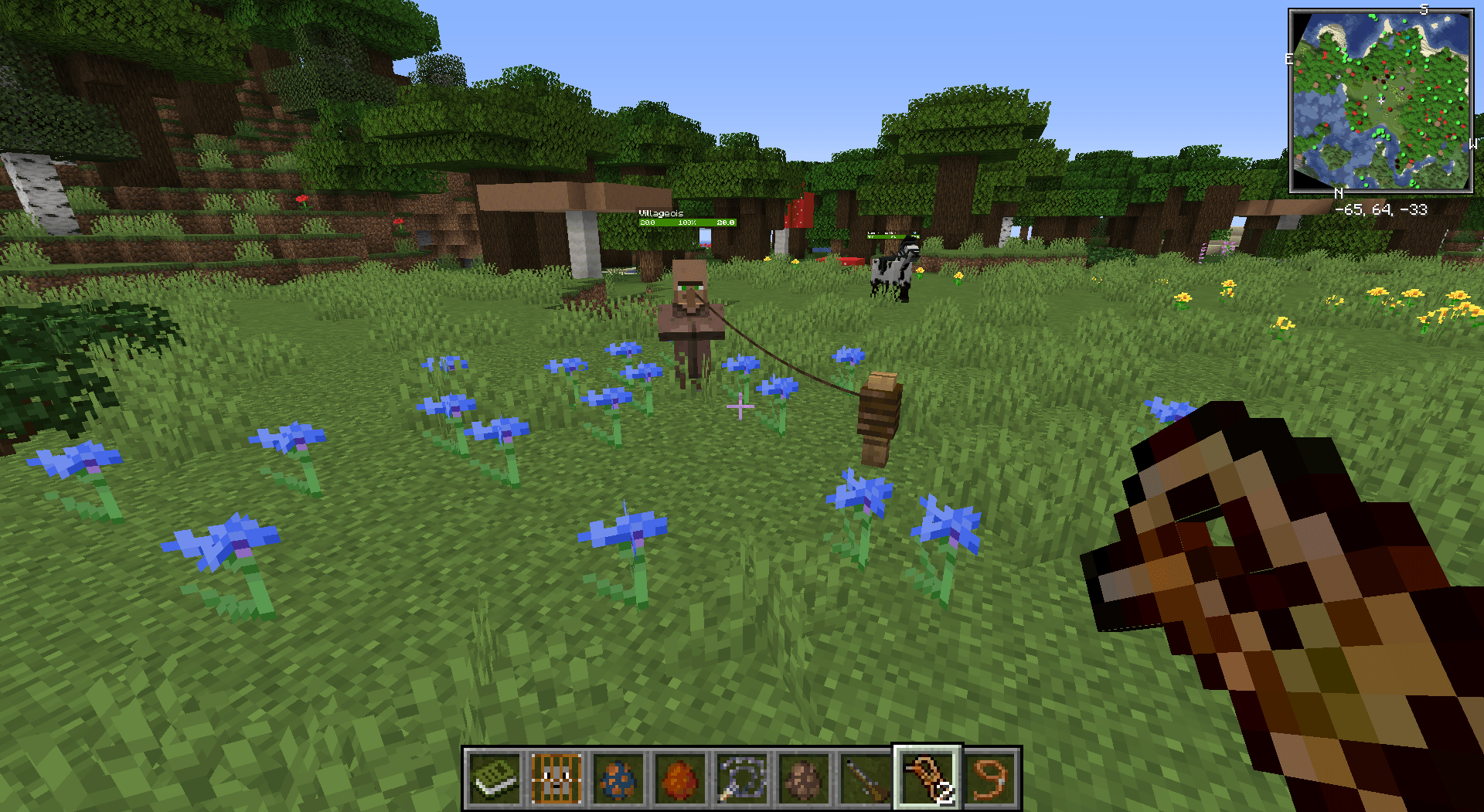 Retro Pet Items