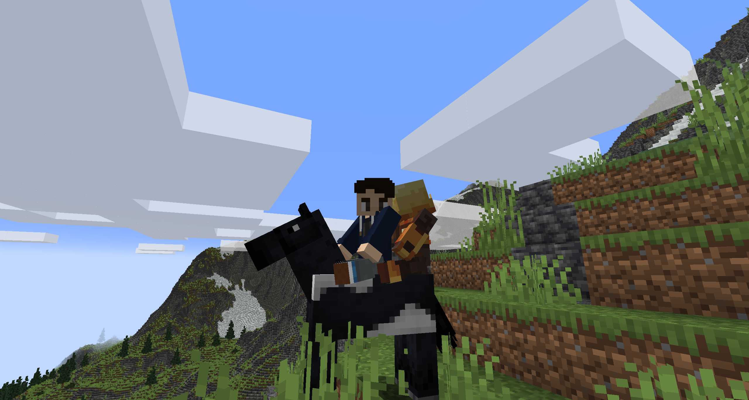 Riding Partners