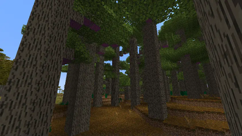 Rose's Thornscapes