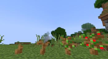 Saro´s Fruit Trees