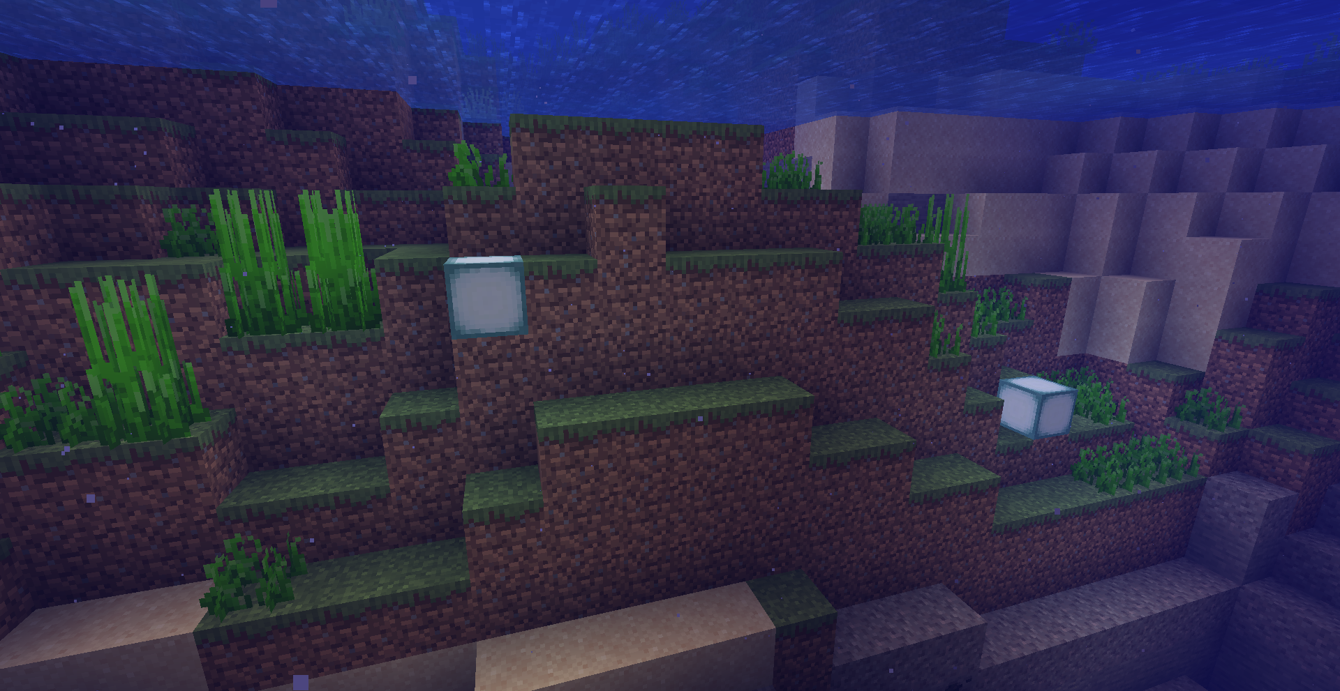 Seafloor Gardening