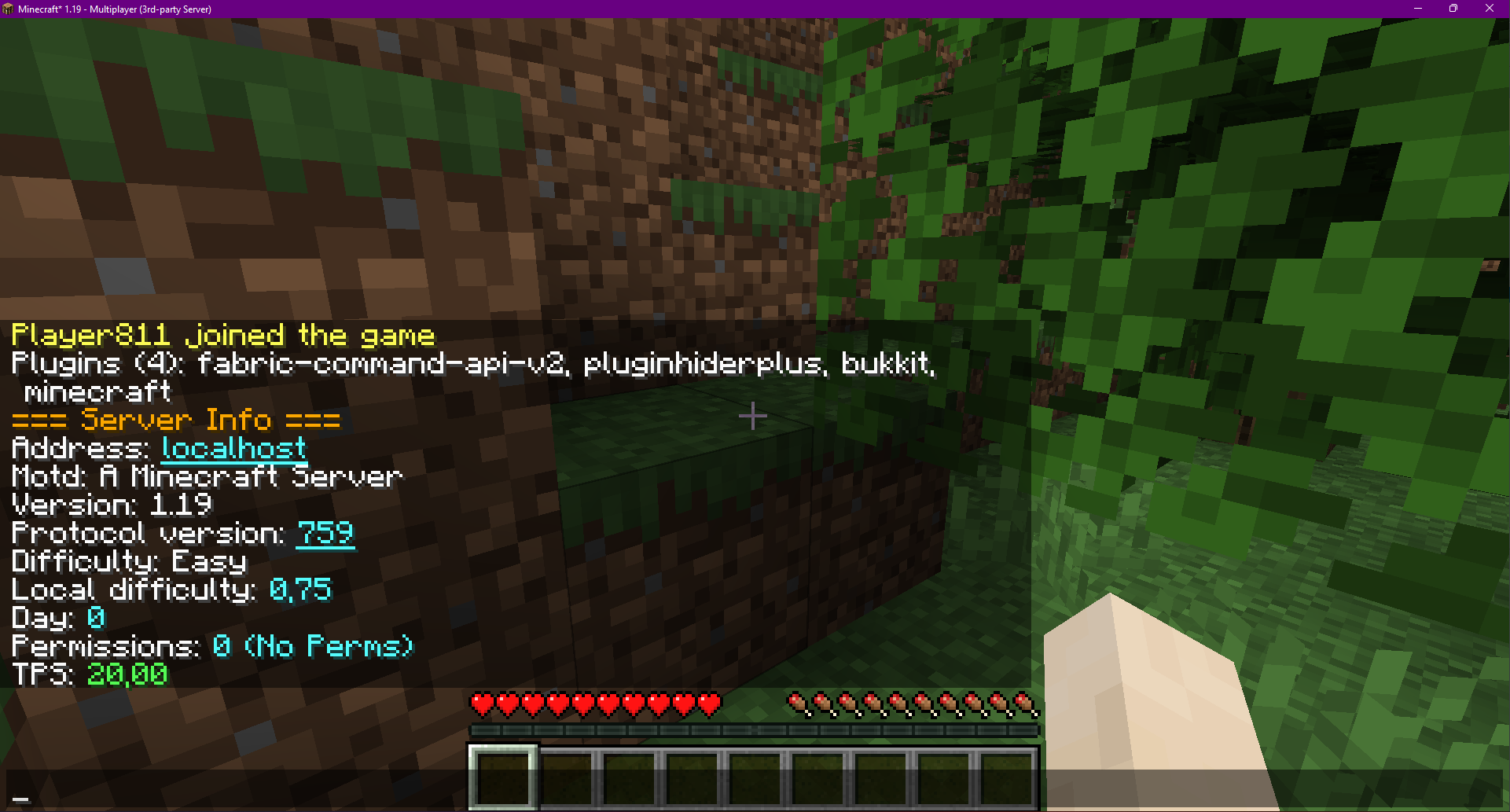 Addons Server Info Command — Minecraft Mods — MetaMods
