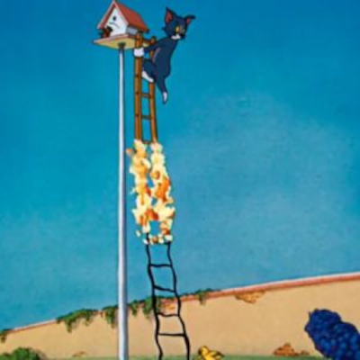 ShinnyLadders