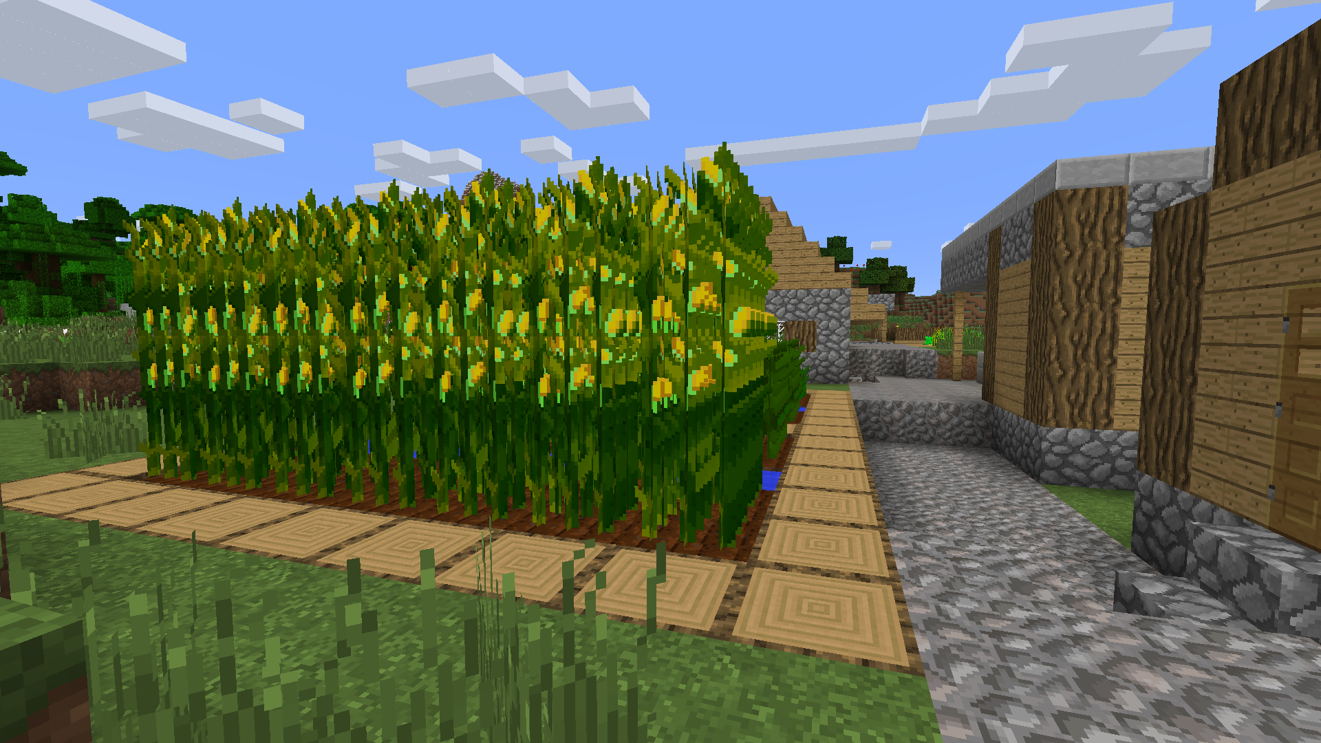 Simple Corn