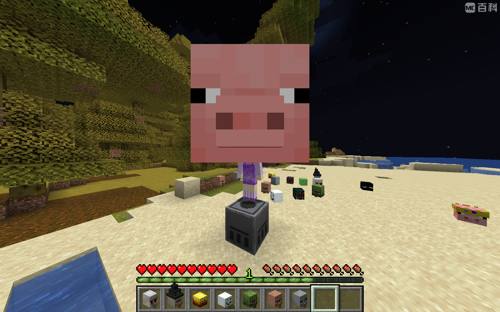 Skull Craft