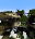 Sky Islands Dimension