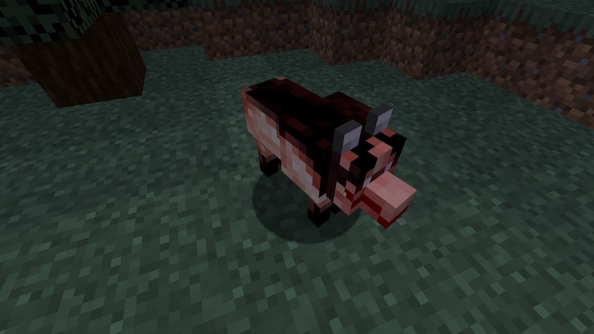 Smile Dog CreepyPasta