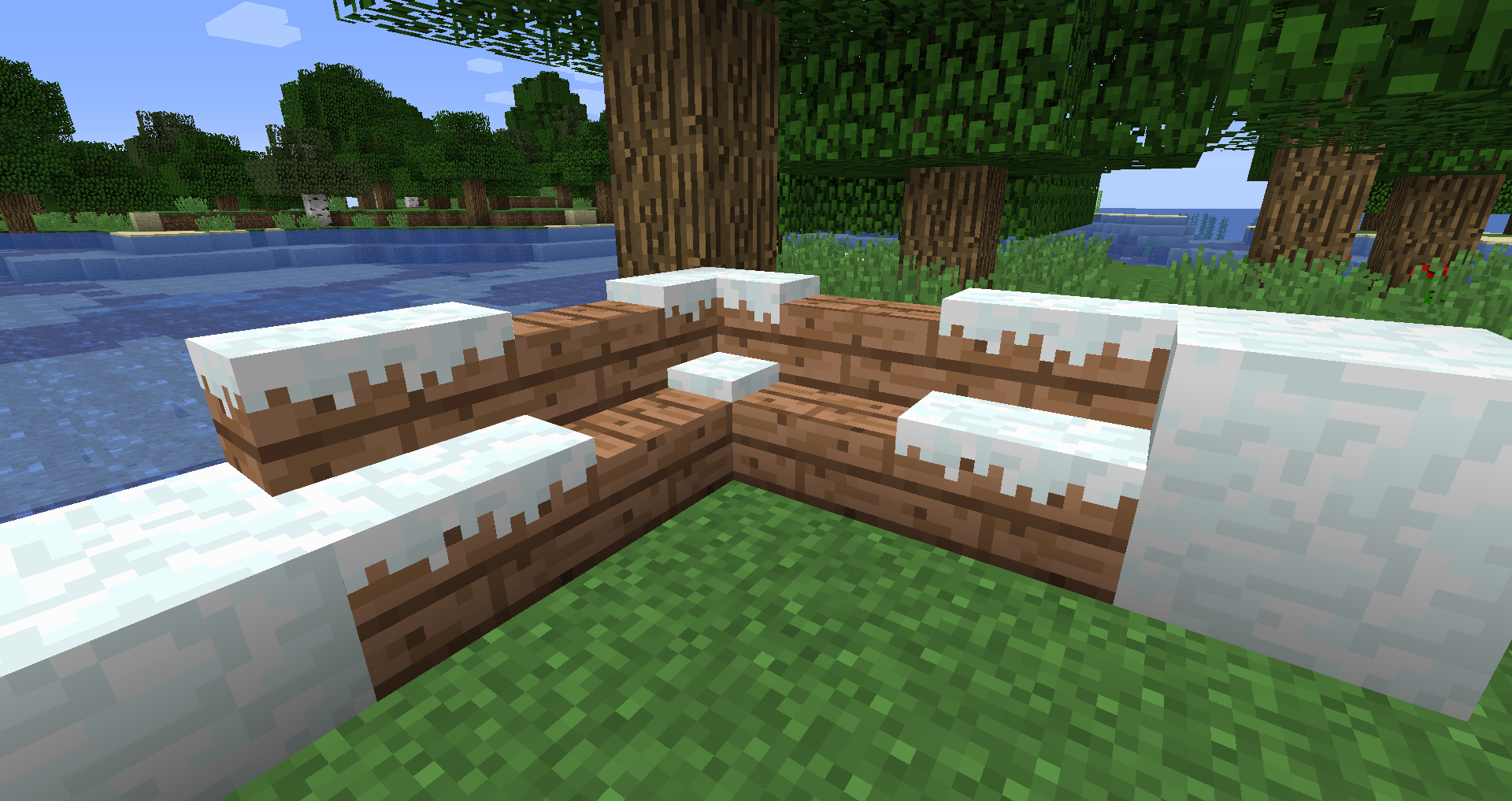 Snow Variants