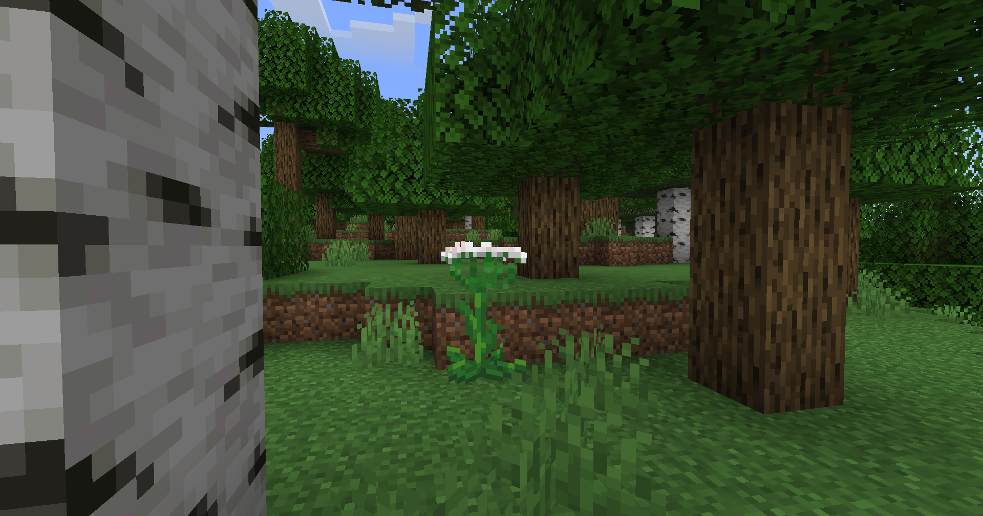 More Plants