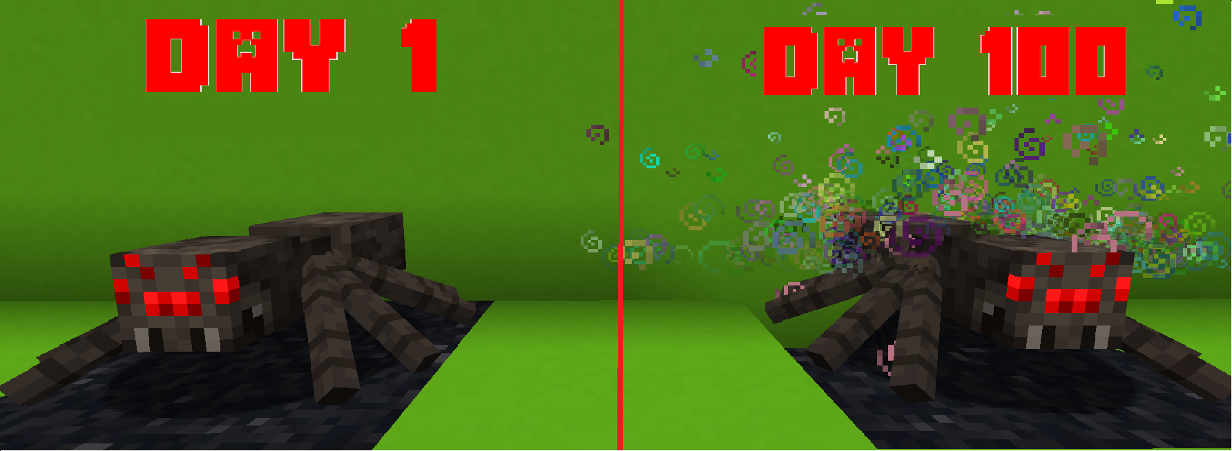 Spiders Improve Over Time