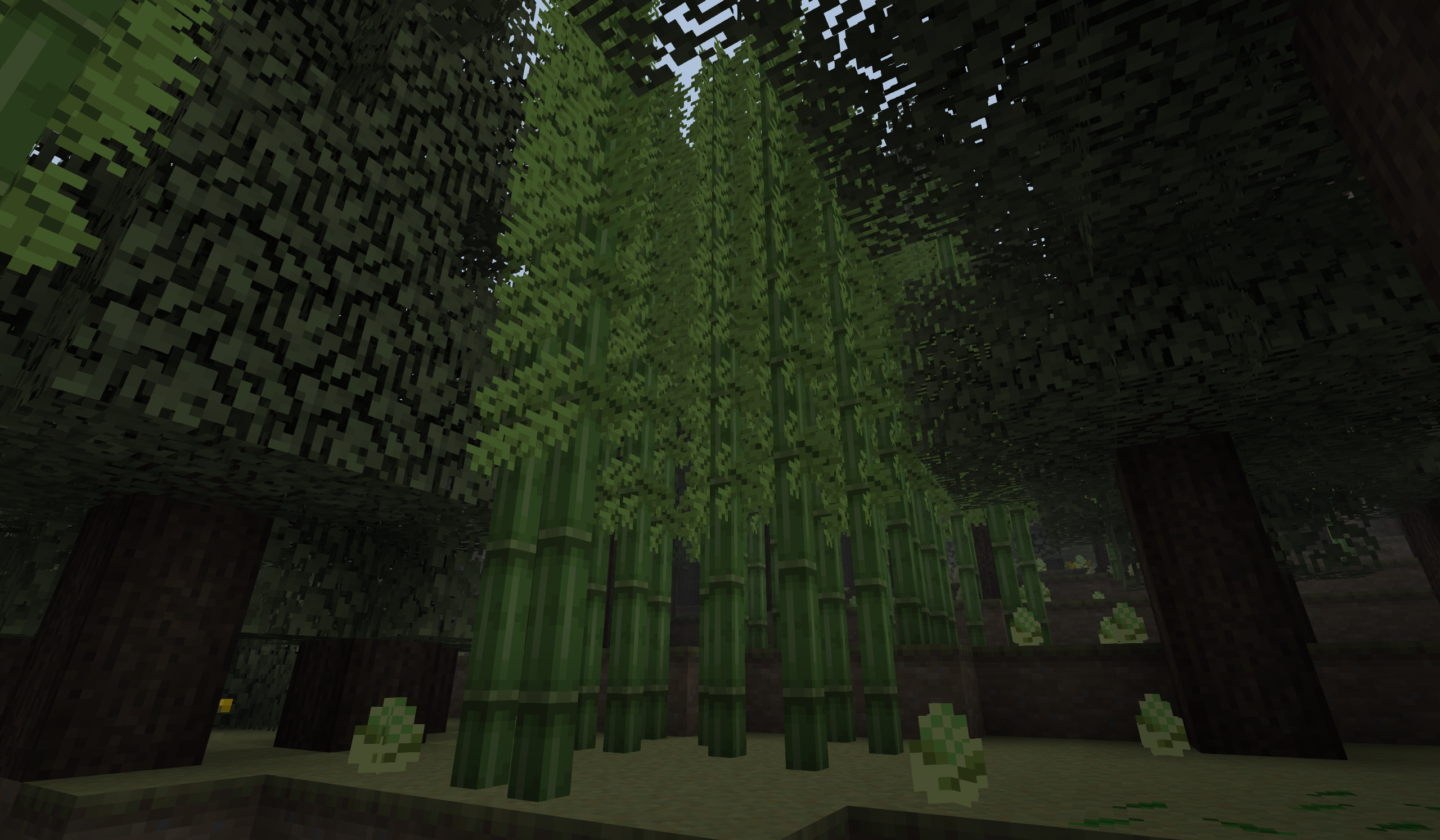 Casual Plants