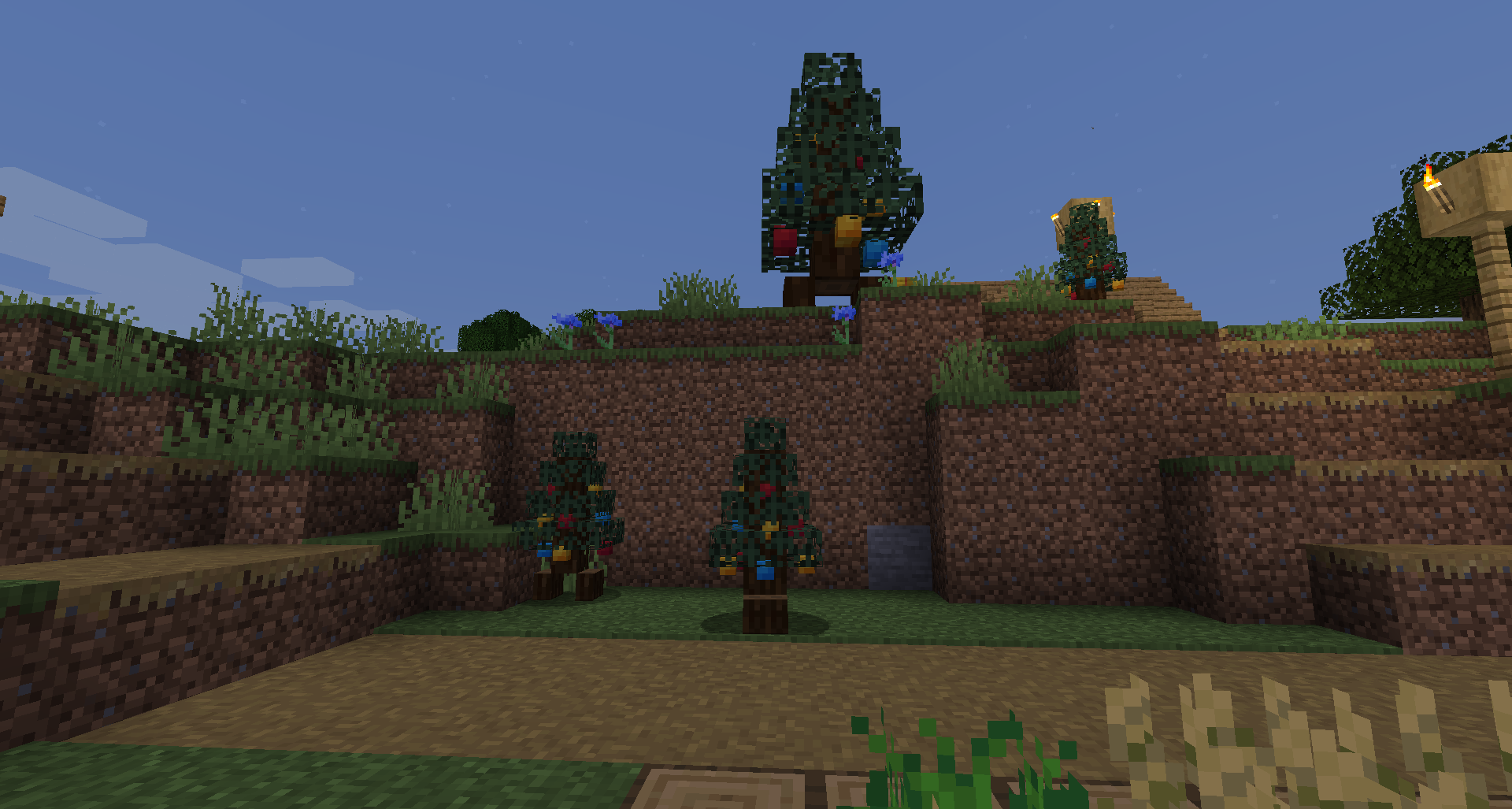 Spruce Willis the Xmas Tree