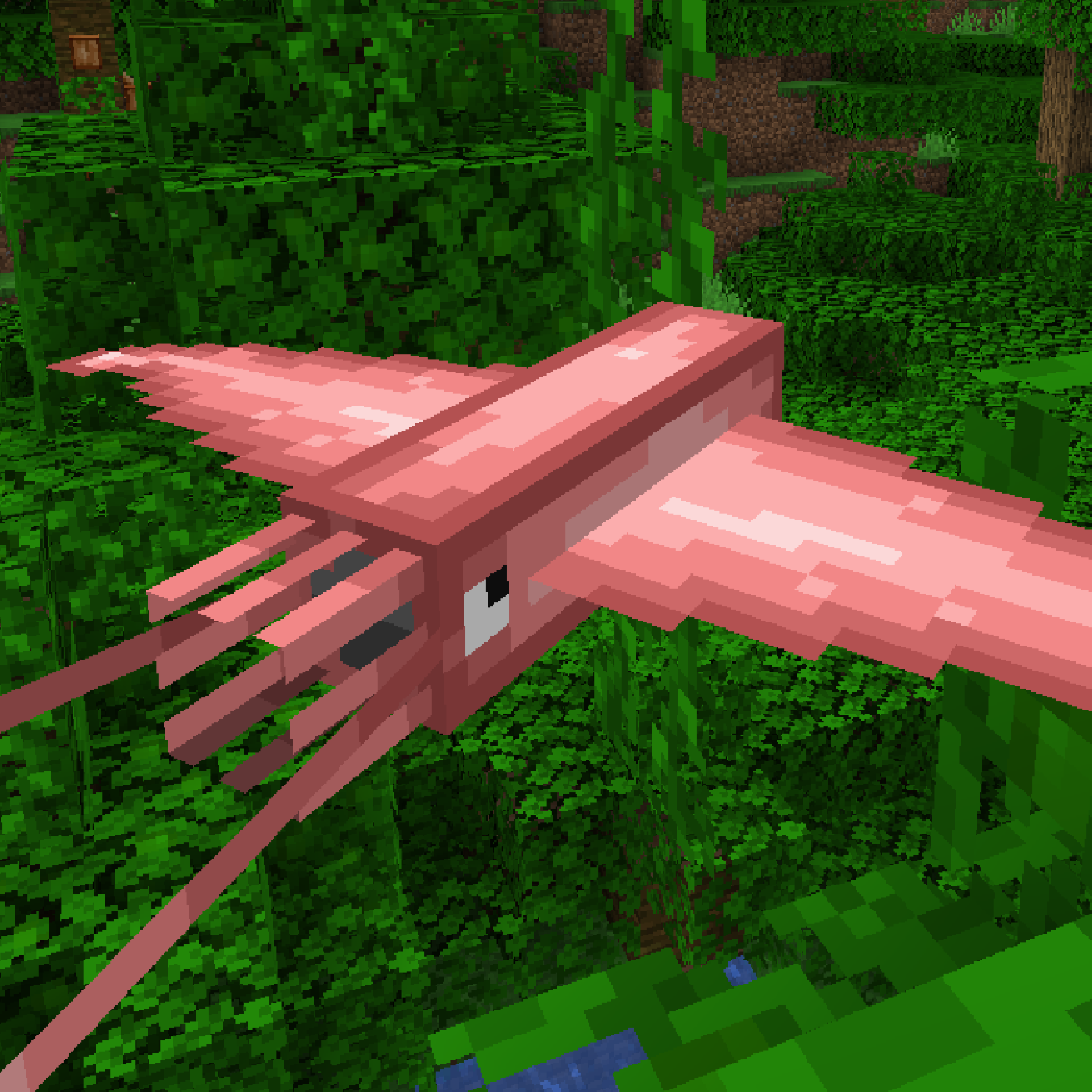 Squid-Birds