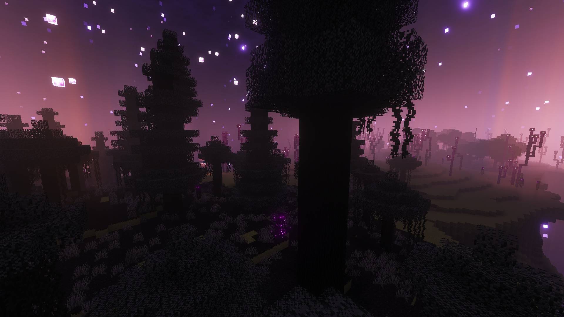 Starry End