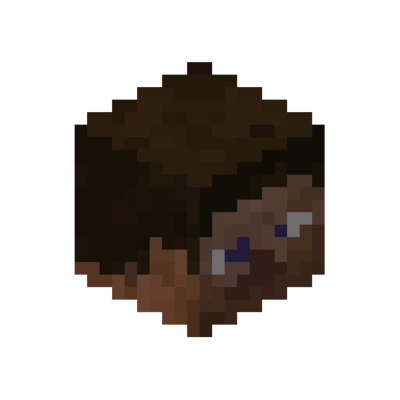 Steves
