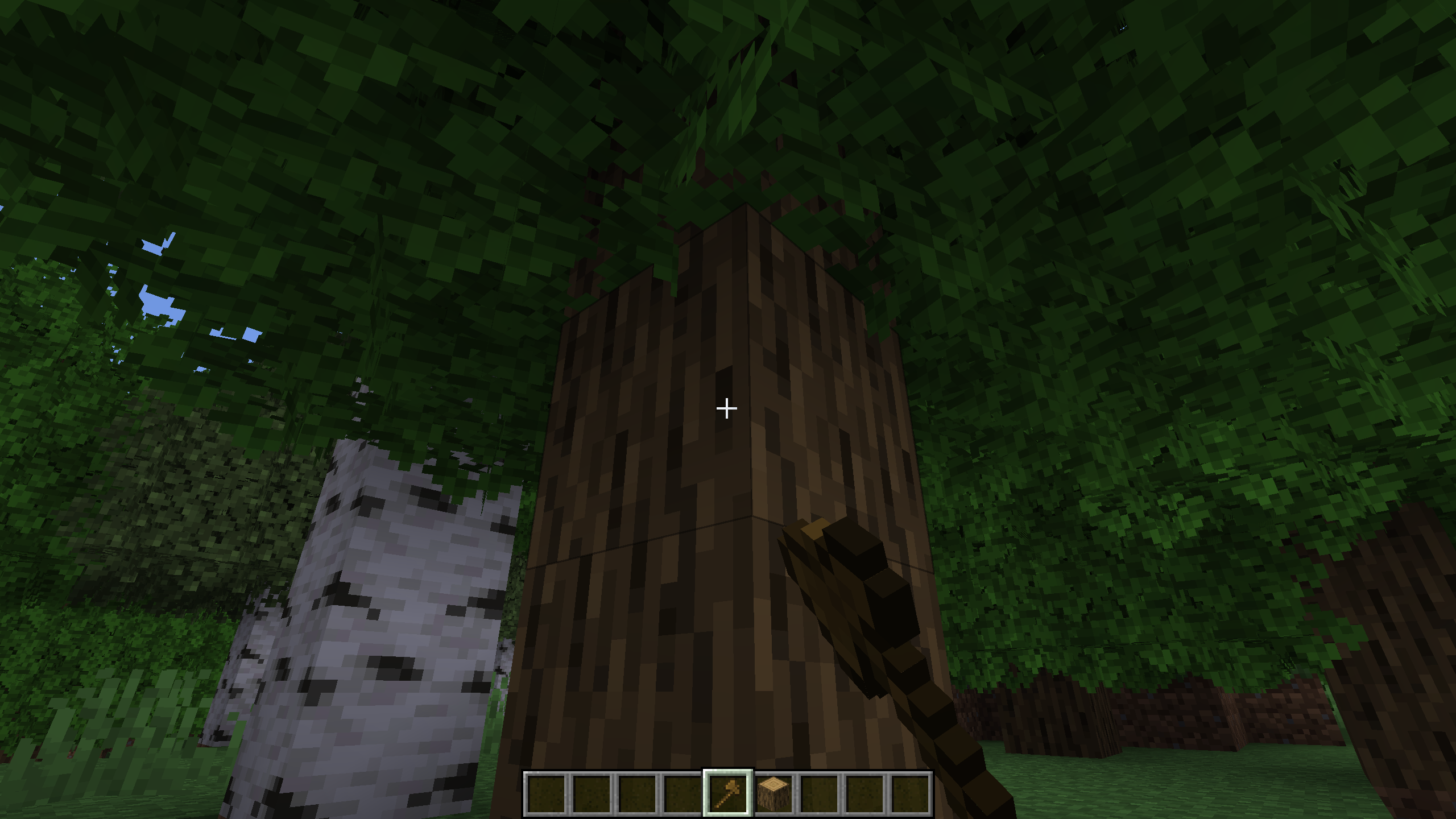 Stop Unwanted Wood Stripping