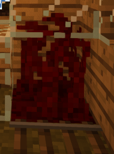 Succumbed To Flesh