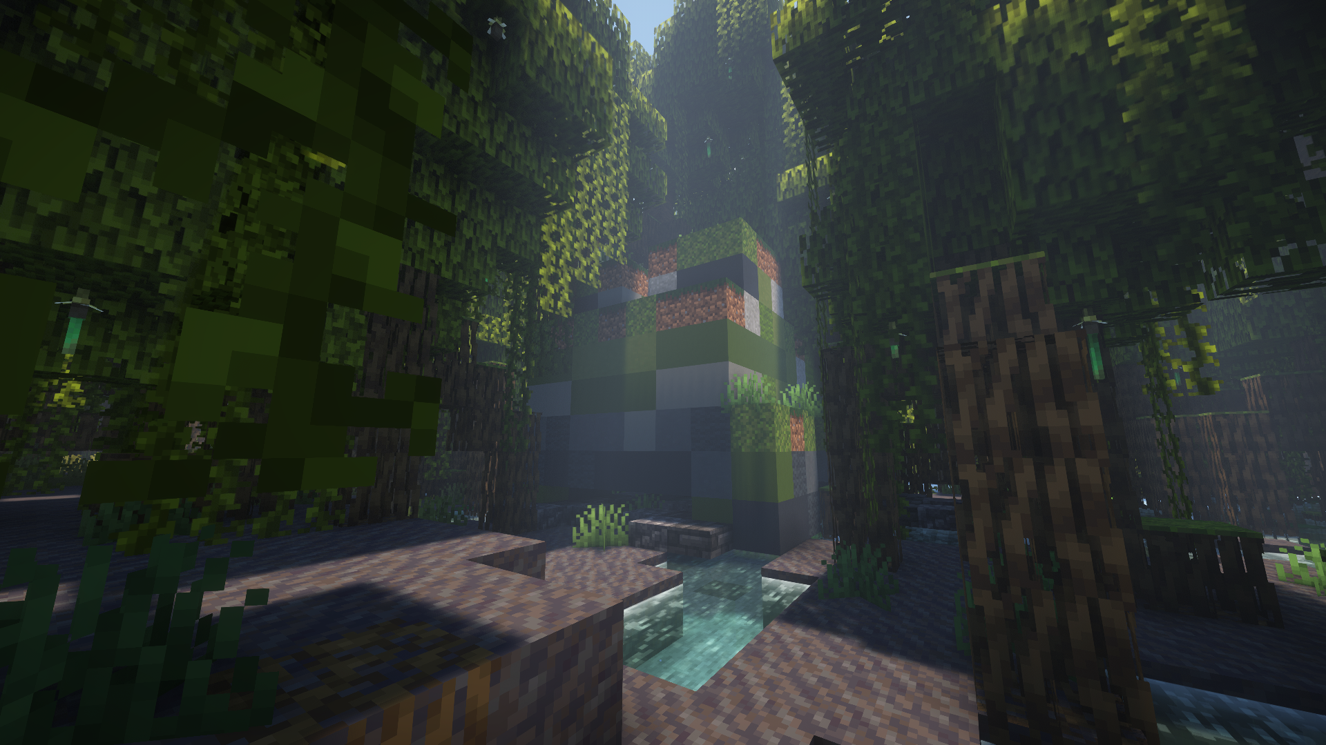 Swamp Frog Hideout