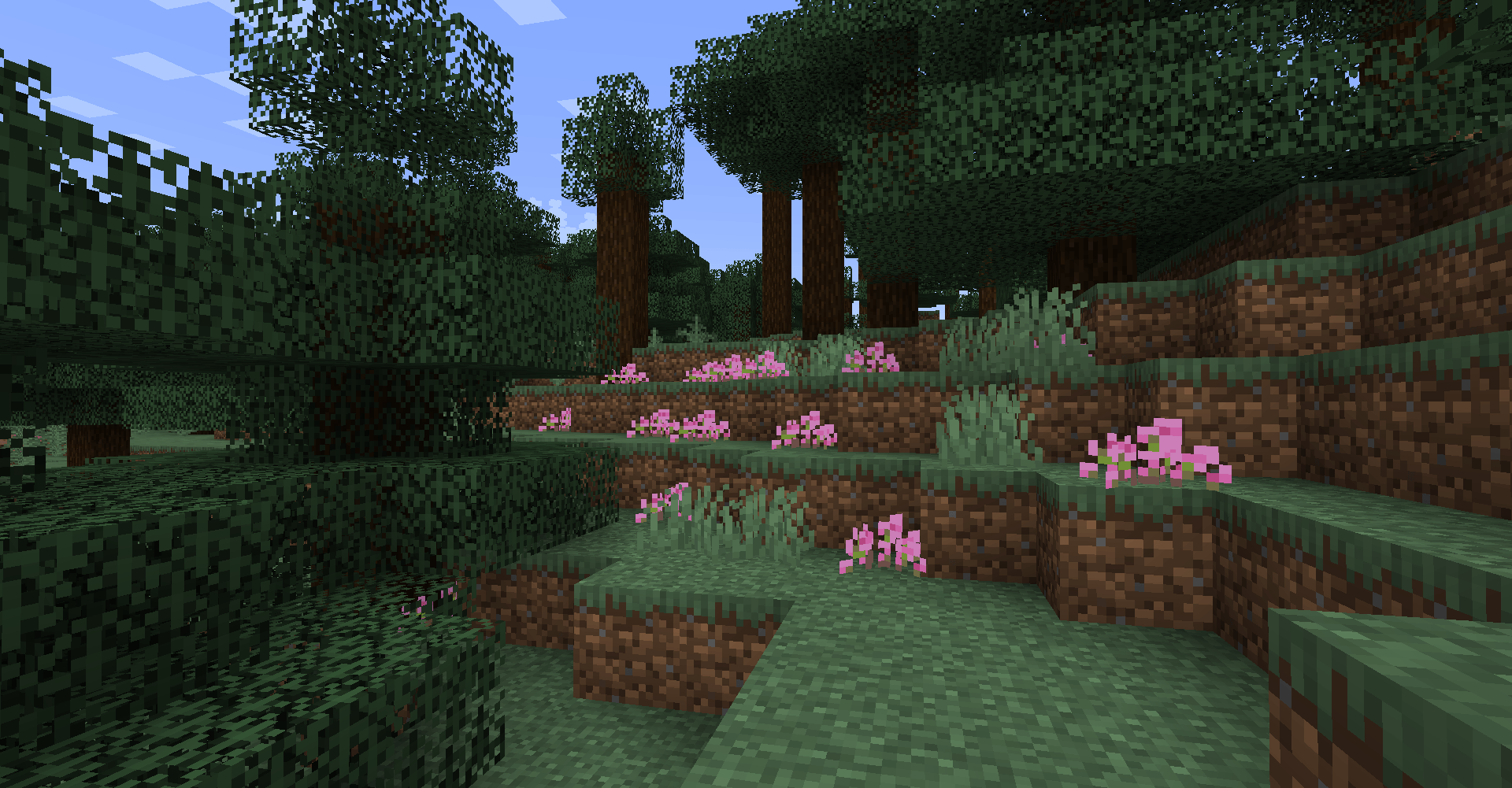 Sweety's Garden