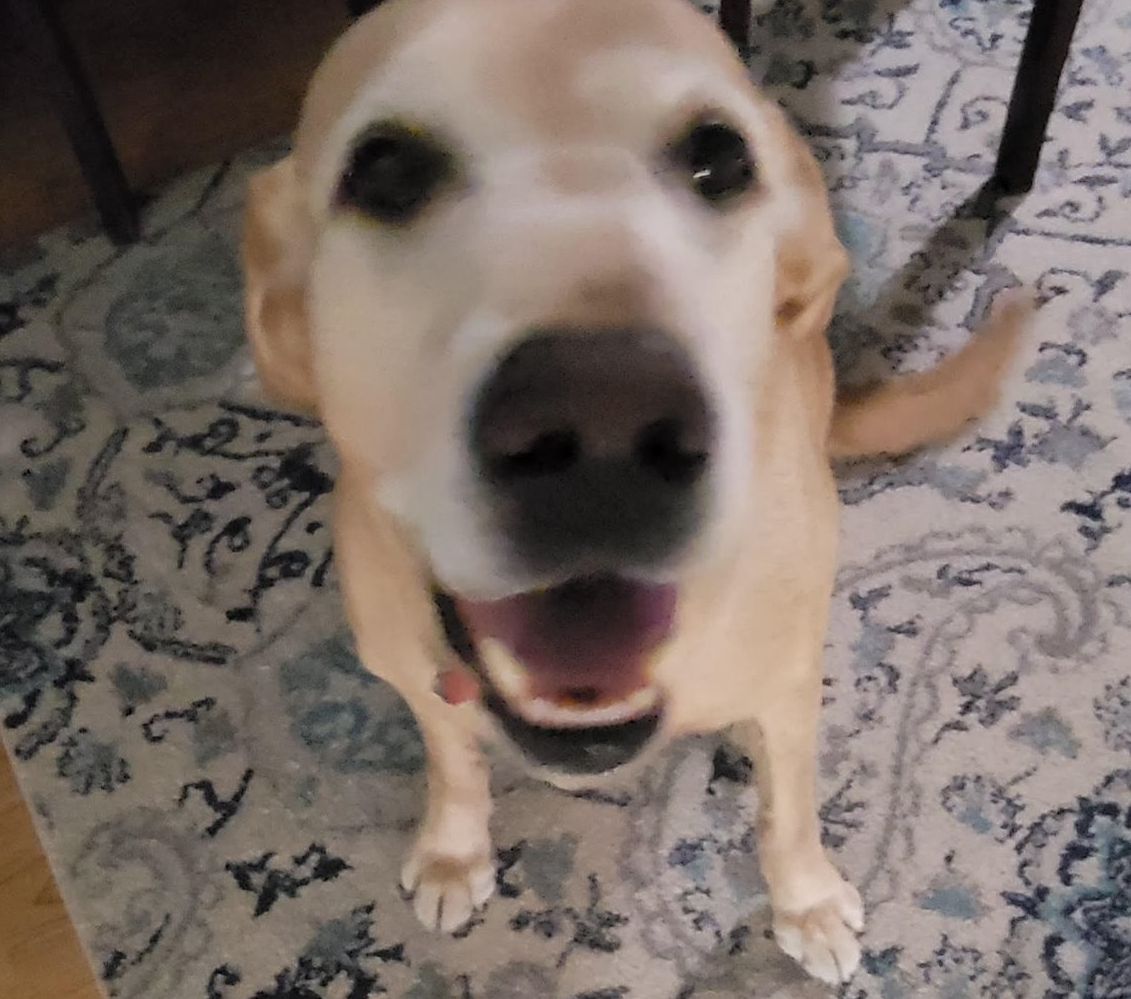 IrelandBest's Weapons