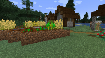 TerraVermis