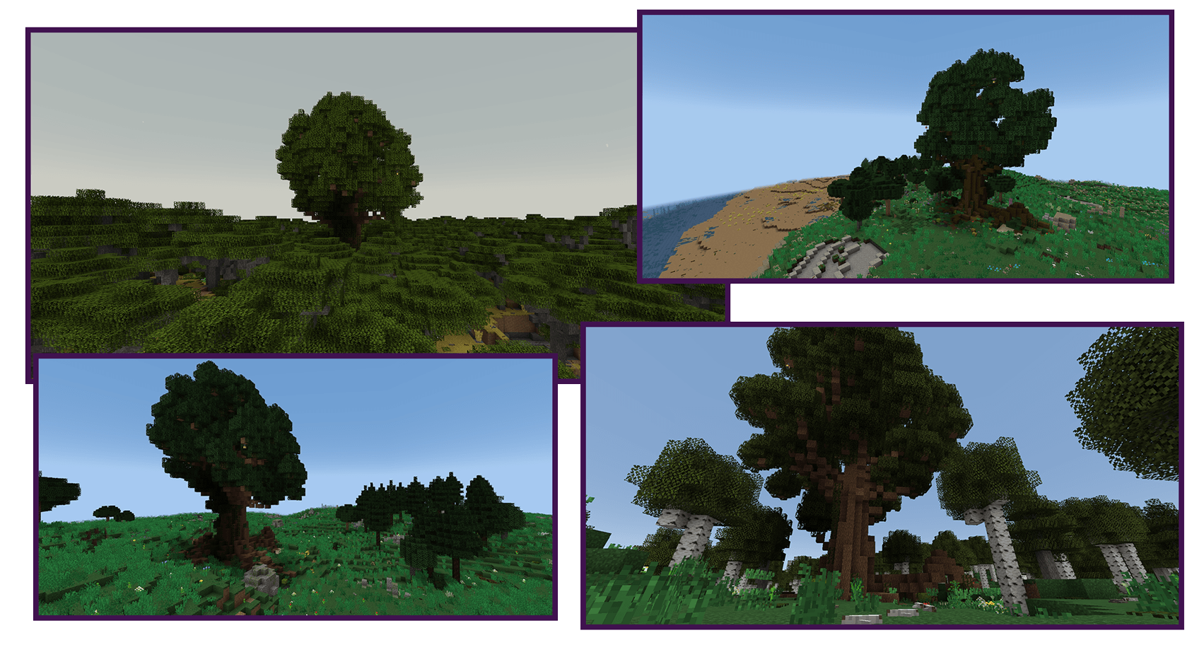 TFC Structures - Mother of Trees