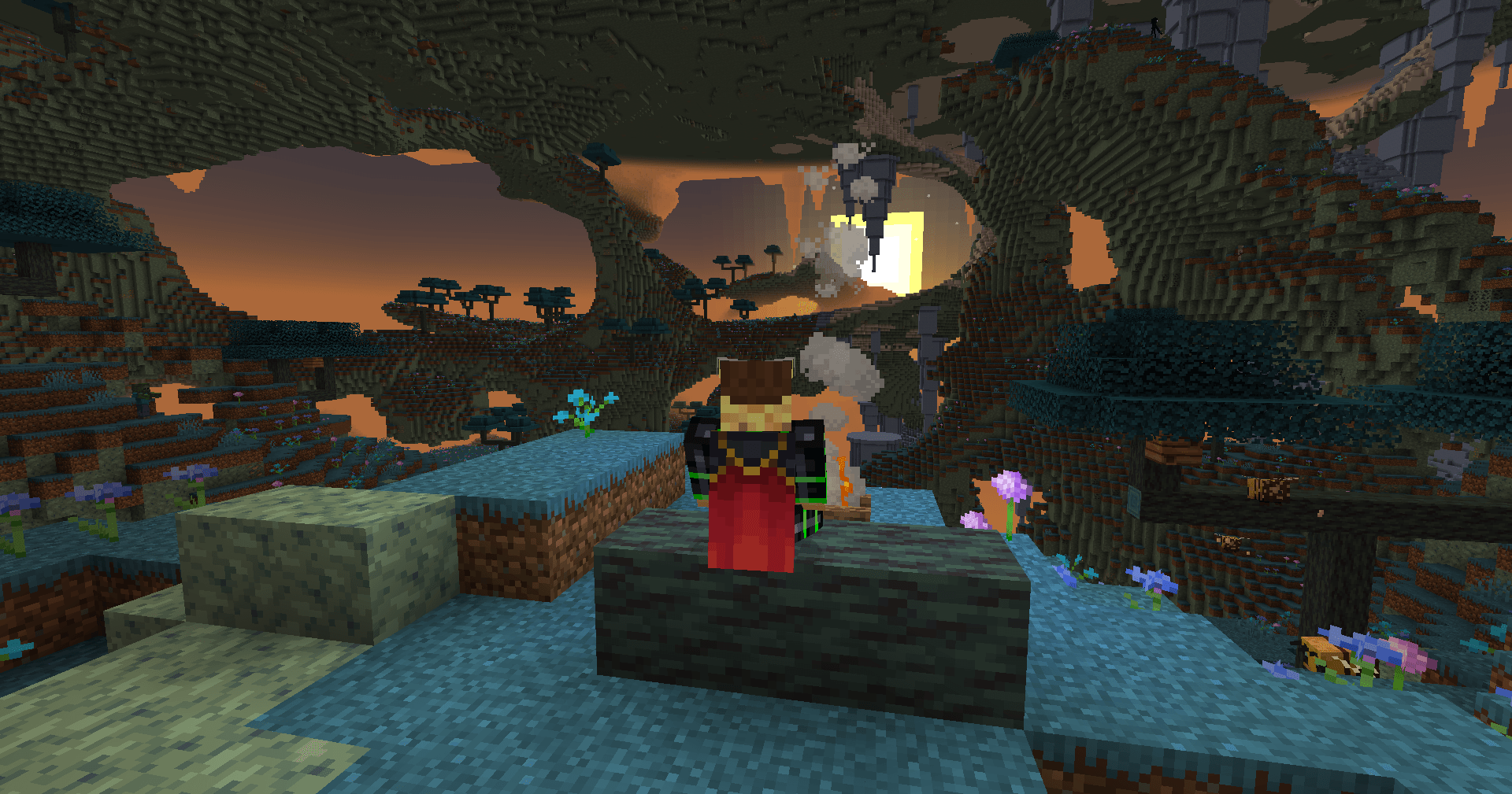 The Ceilands