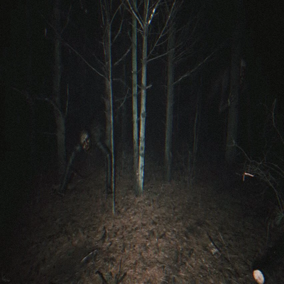 The Creature