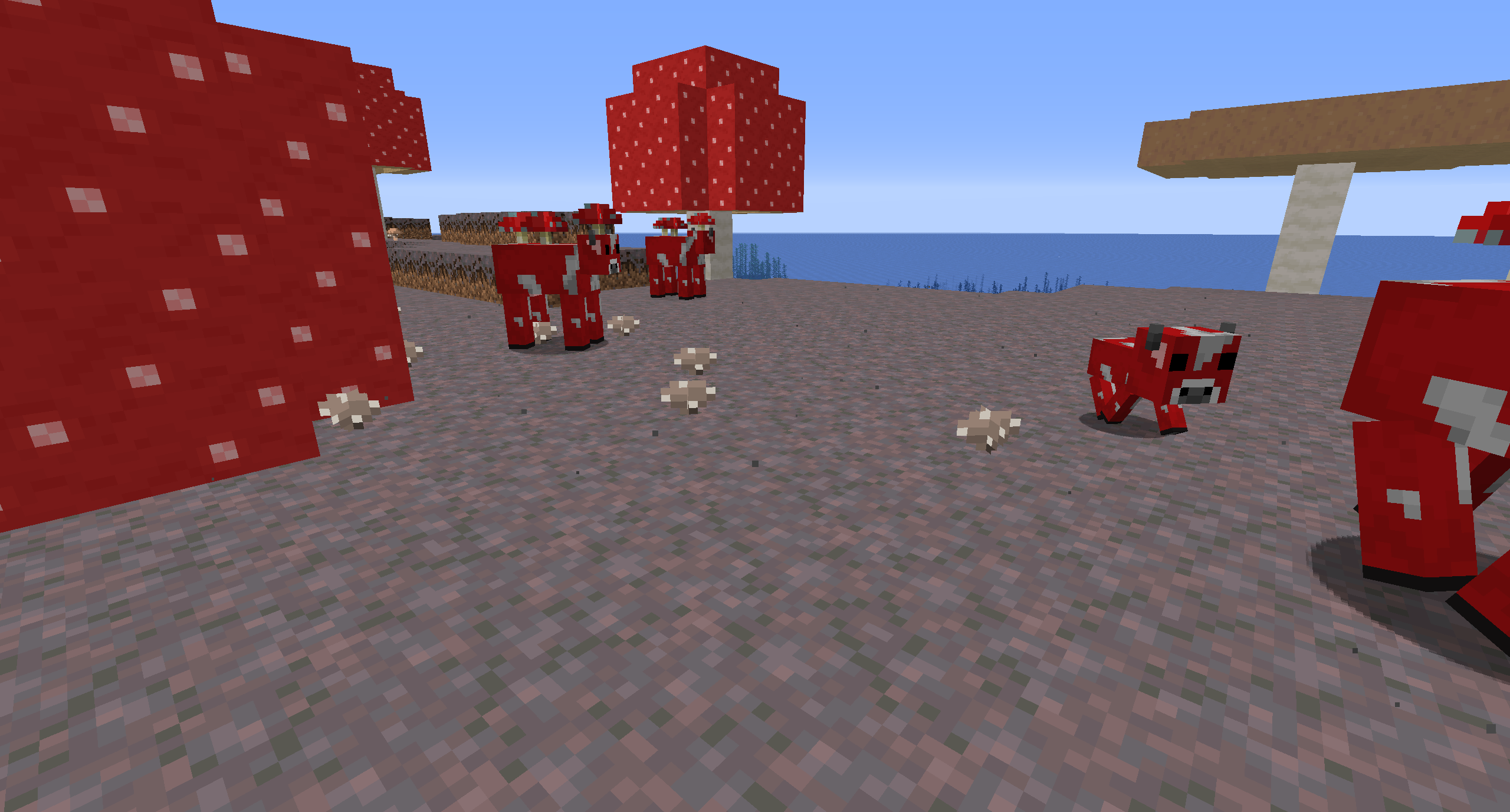 The Fungal World