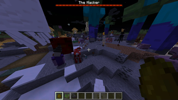 The Hacker
