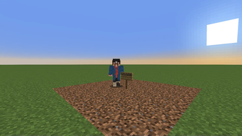 The Homeless Man