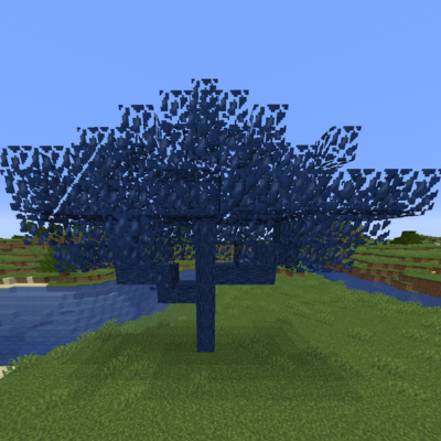 The Jacaranda Tree