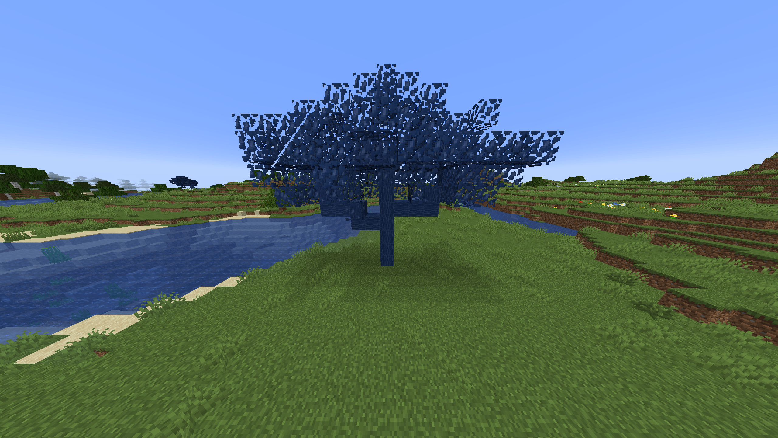 The Jacaranda Tree