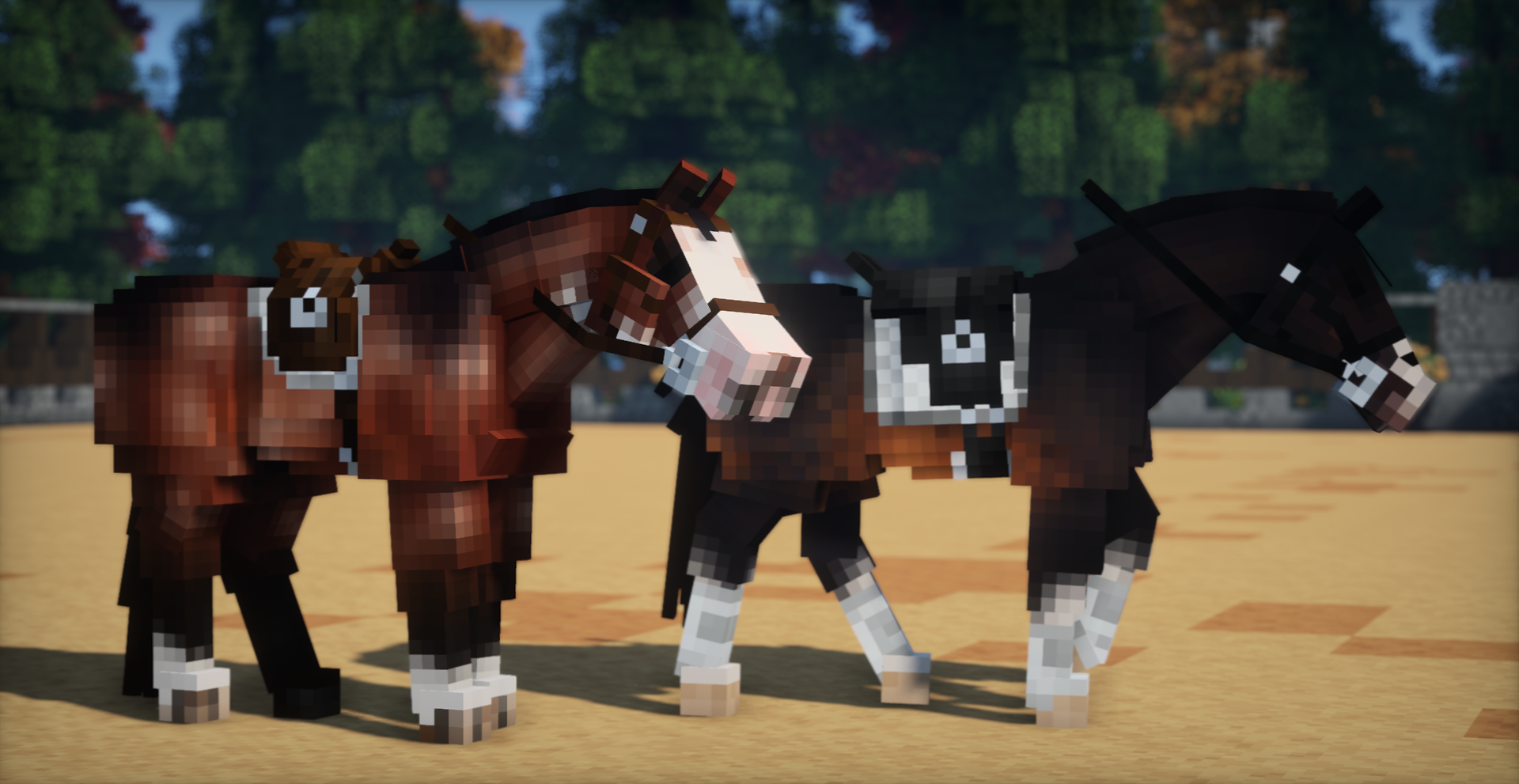 The Luminara Collection