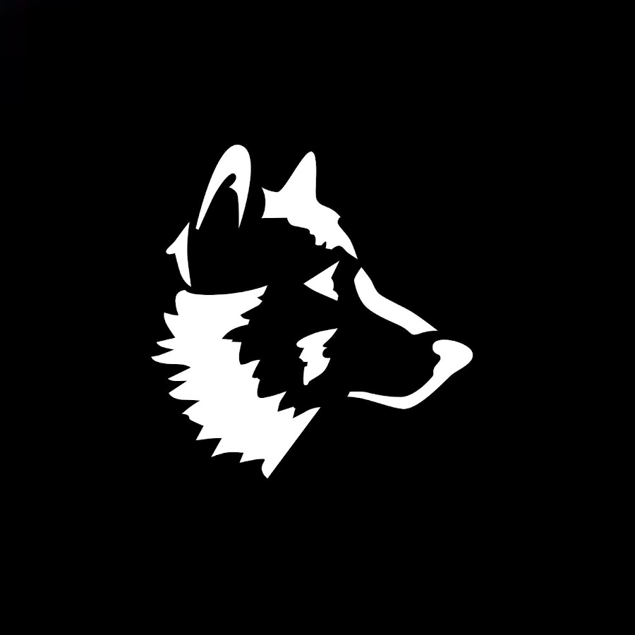 The Man From The Shadows