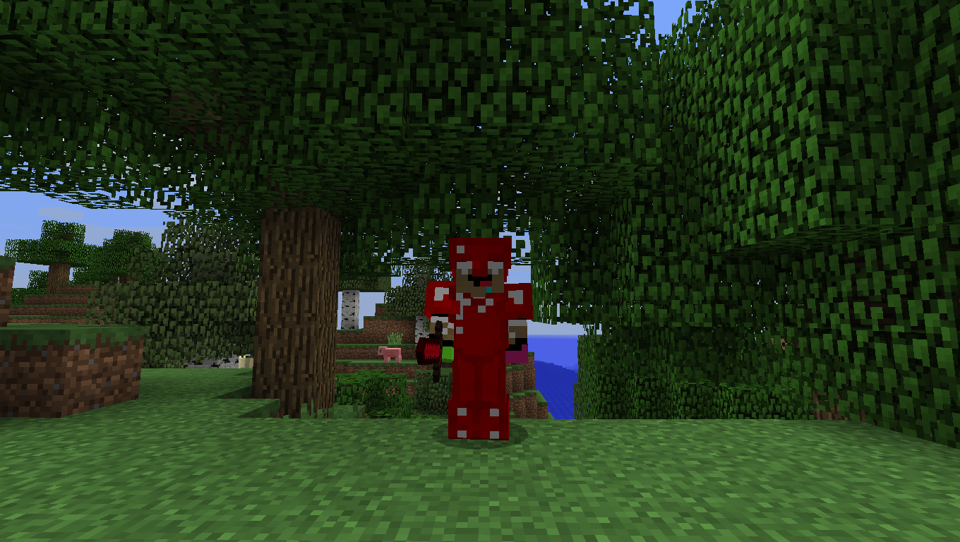 The Ruby Tools and Armor Mod