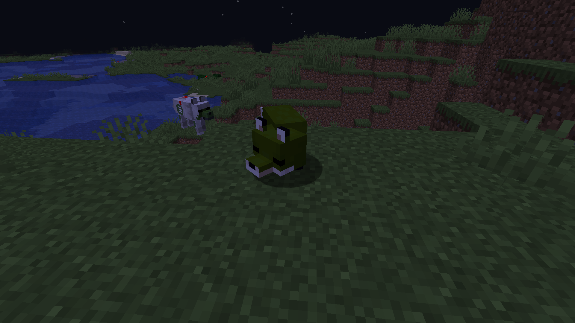 The Zombie Infection