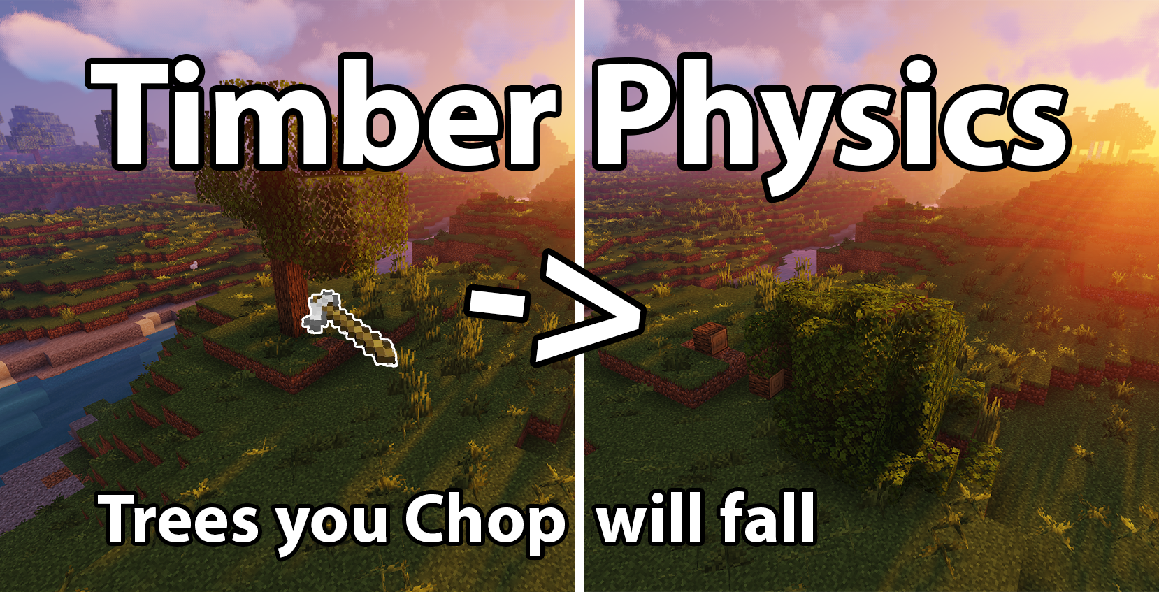 Timber Physics