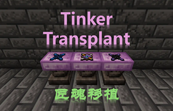 Tinker Transplant