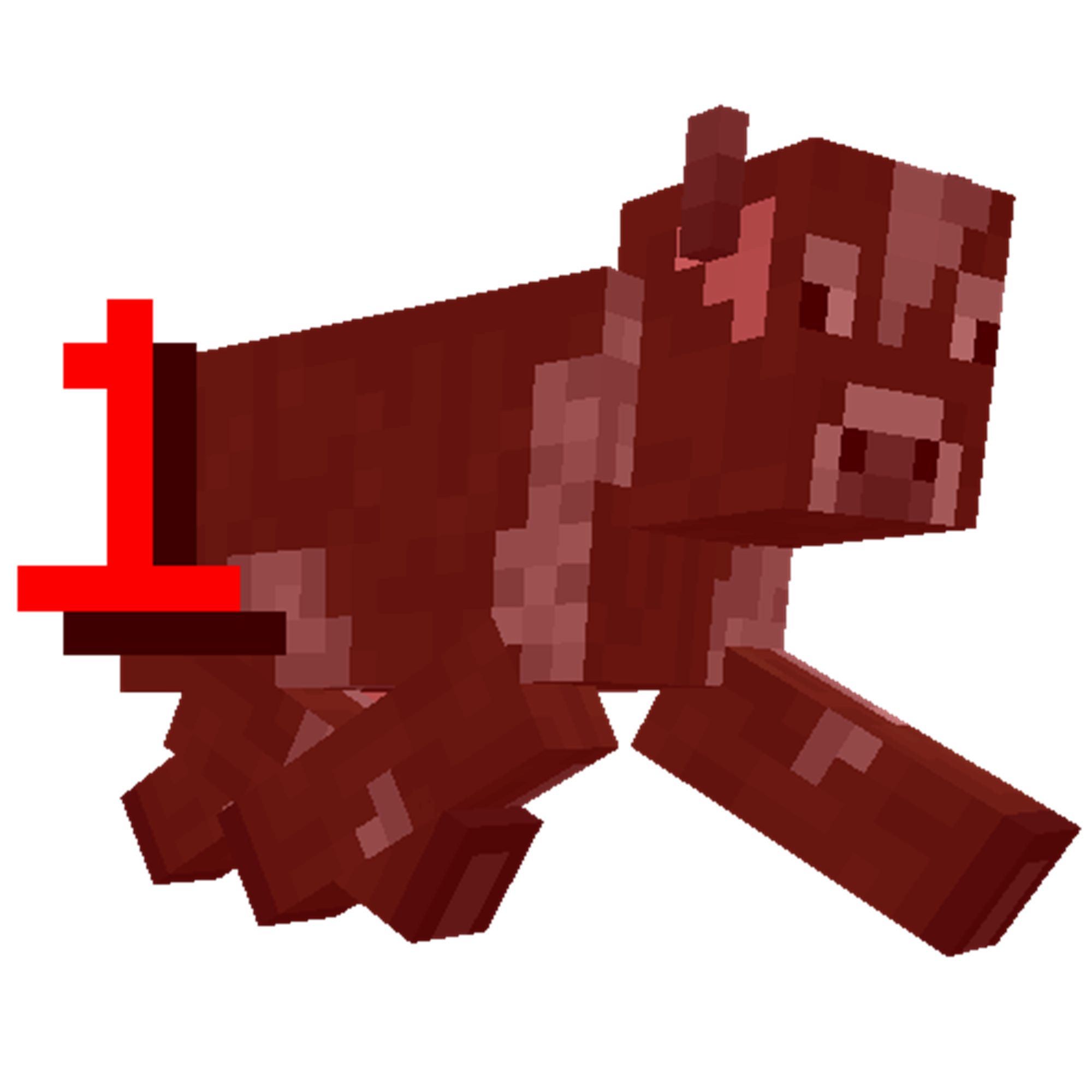 ToroHealth Unofficial